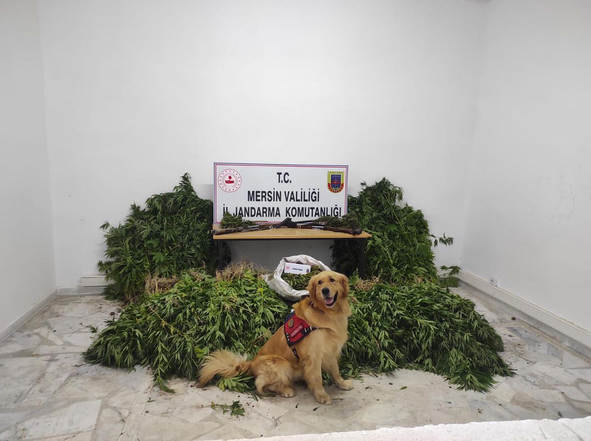 Mersin\'de uyuşturucu operasyonu: 7 gözaltı