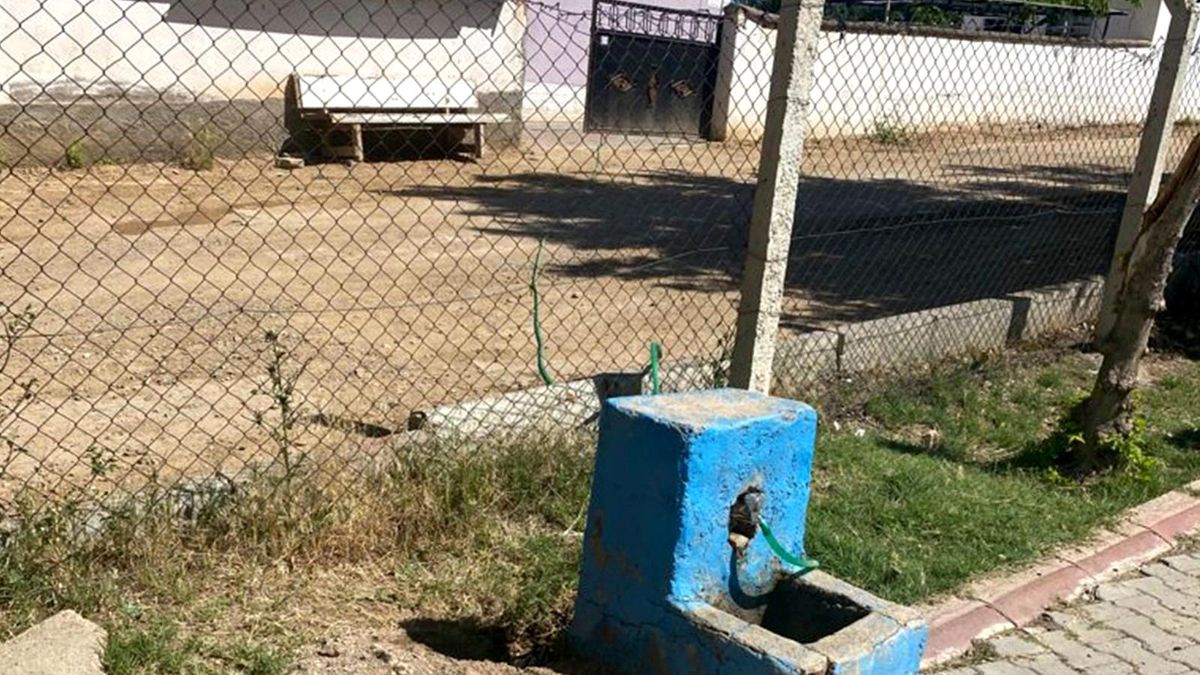 Parktan evine hortumla şu çeken şahıs yakalandı