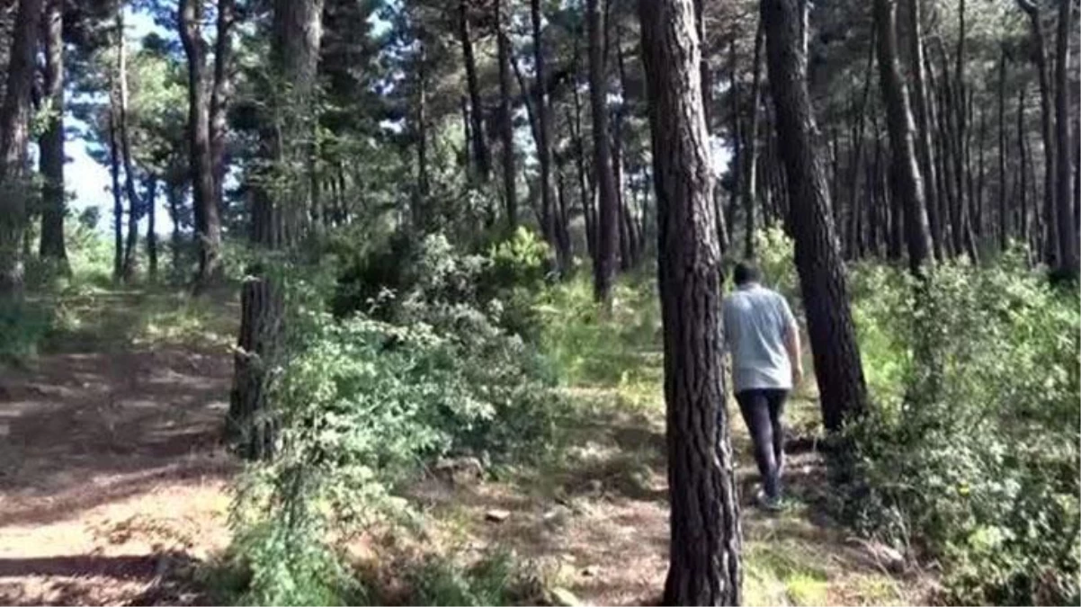 Sancaktepe\'de kaybolan gencin cesedi ormanda ağaca asıl halde bulundu