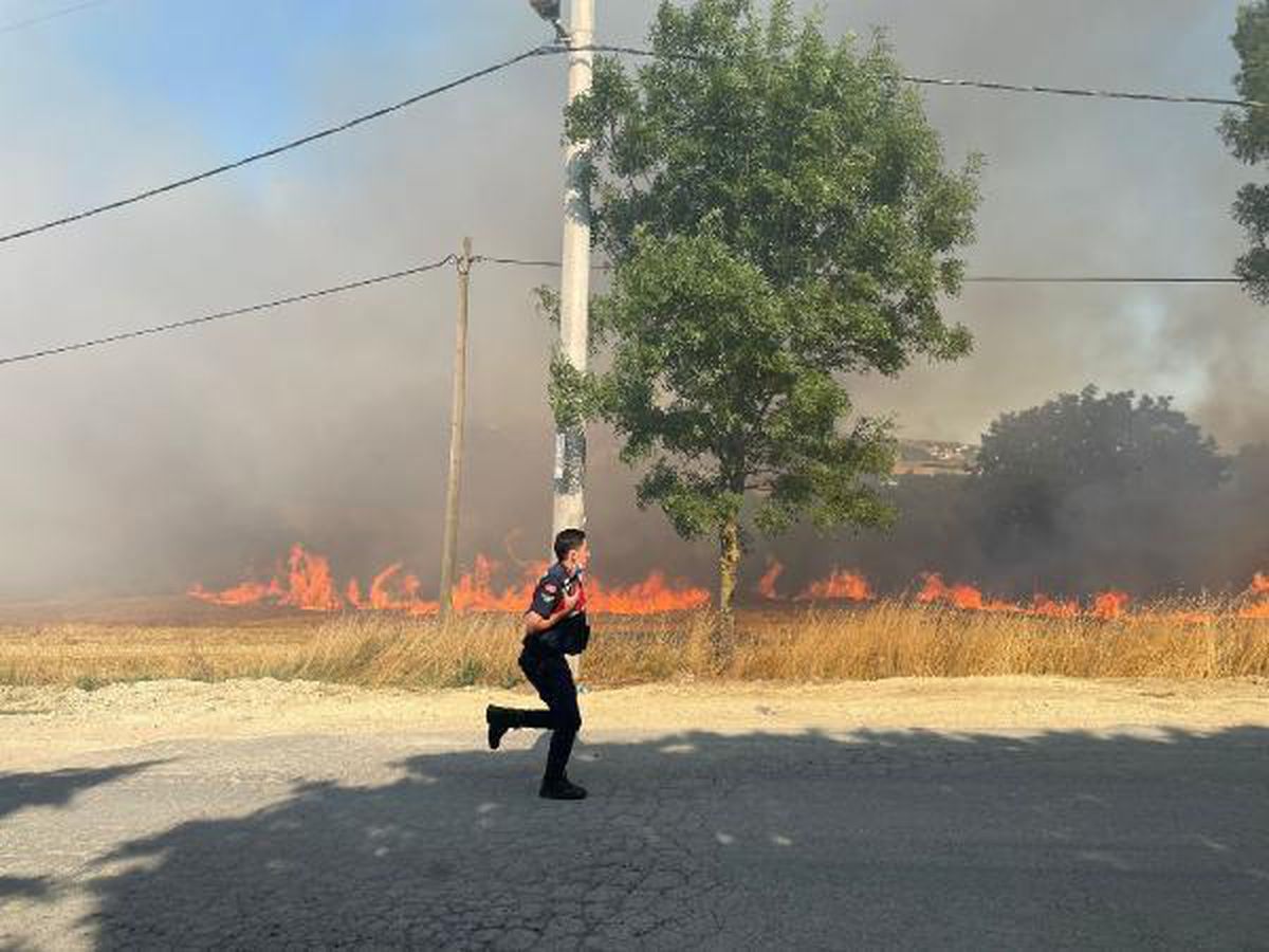 Silivri\'de ağaçlık alanda yangın - 1