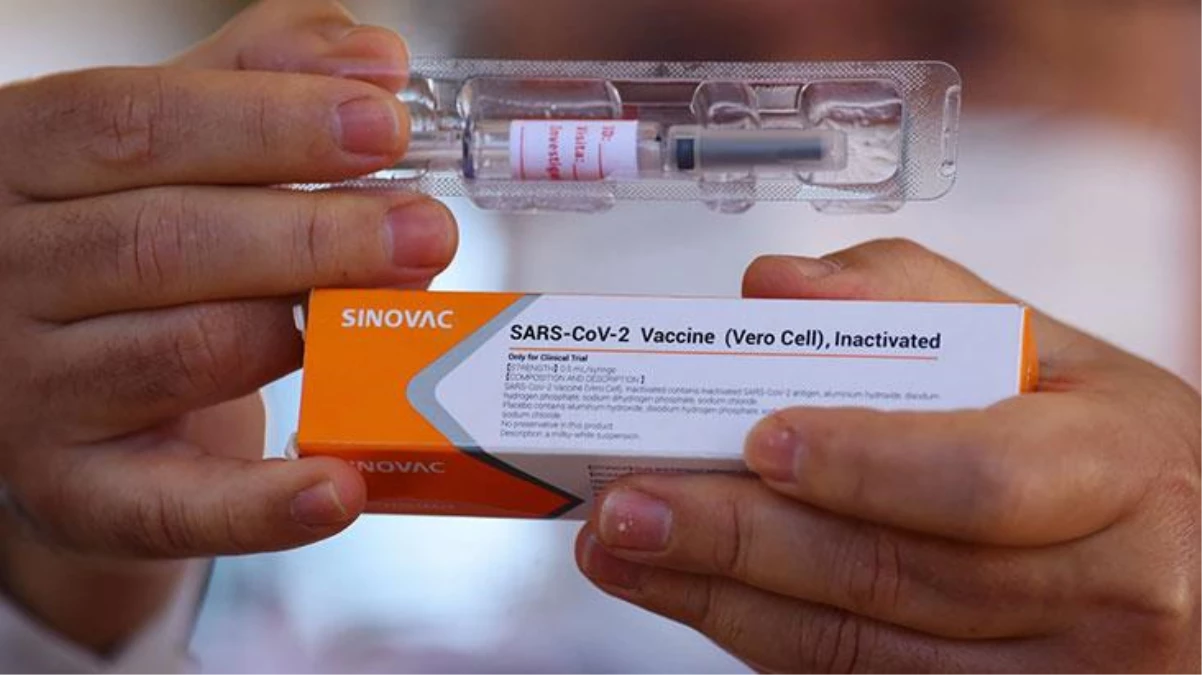Sinovac aşısında beklenen haber geldi! Çocuklarda, büyüklerden daha güçlü antikor oluşturdu