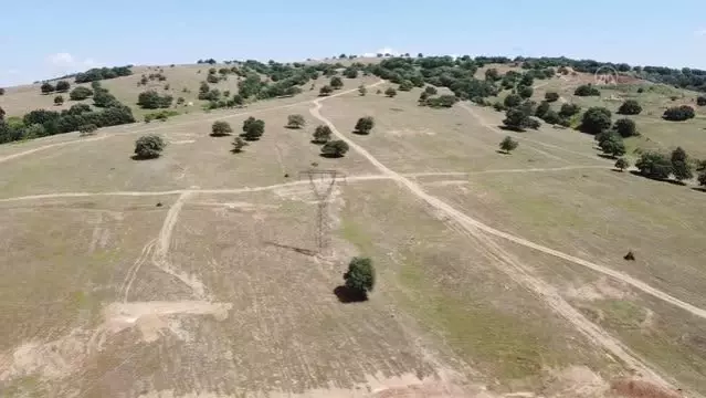 Sogut Altin Madeni Projesi Nde Hedef 2022 Yilinin Sonunda Ilk Altini Dokmek Son Dakika Ekonomi