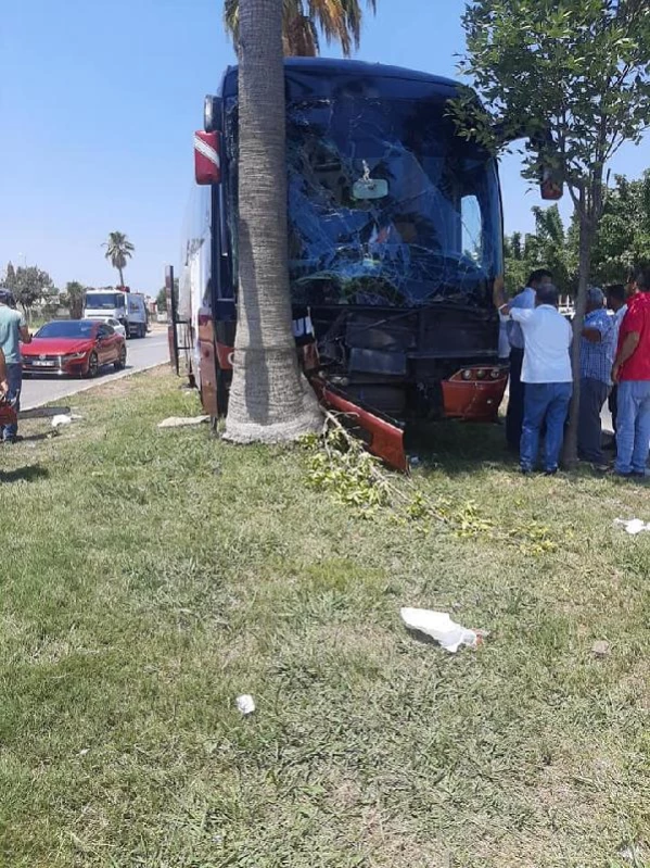 Ağaca çarpan yolcu otobüsünün şoförü öldü, firma ismi çarşafla kapatıldı