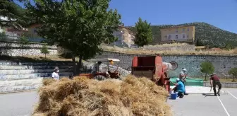 Akseki Meslek Yüksekokulunda buğday hasadı yapıldı