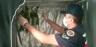 Baskın yapılan evde uyuşturucu üretim kabini ve esrar ele geçirildi