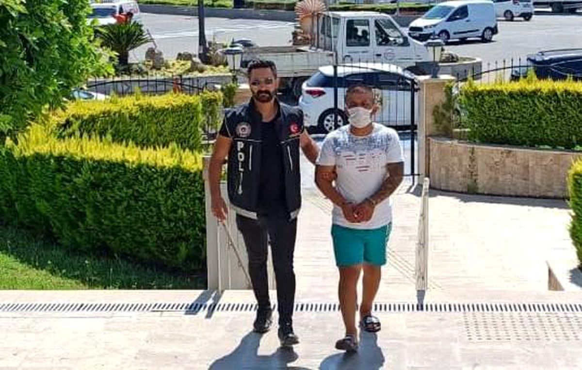 Evinde bonzai ele geçirilen şahıs tutuklandı