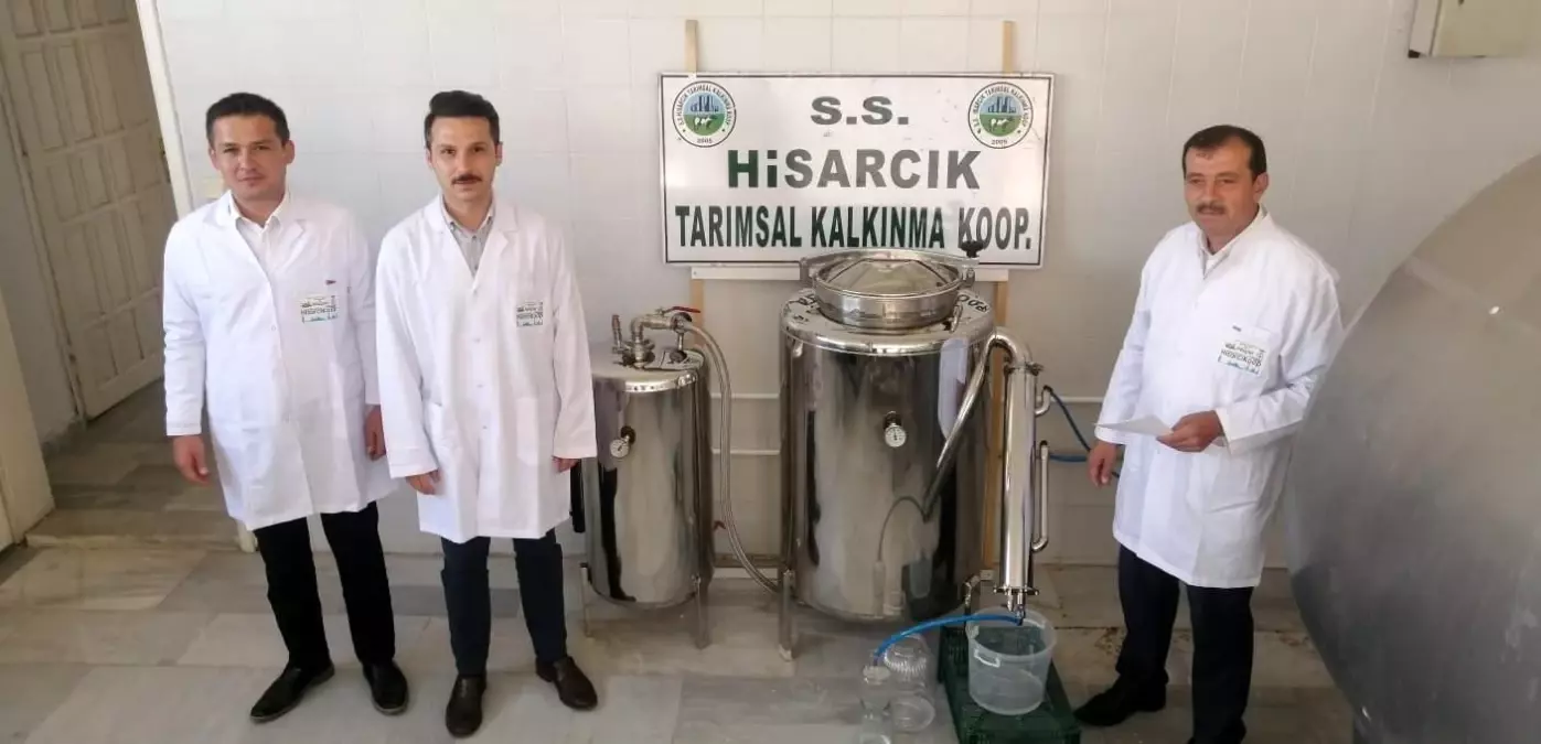 Hisarcık\'ta adaçayı yağı deneme üretimi