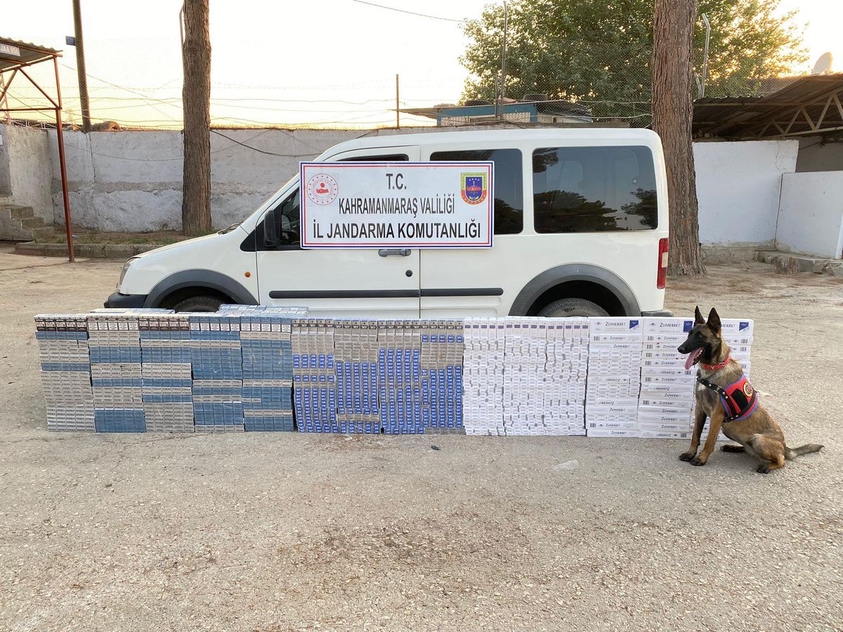 Kahramanmaraş\'ta 11 bin 540 paket kaçak sigara ele geçirildi