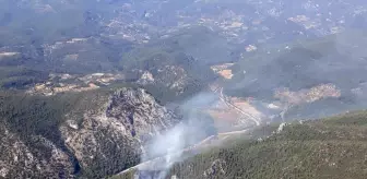 Son dakika... Milas'ta orman yangını