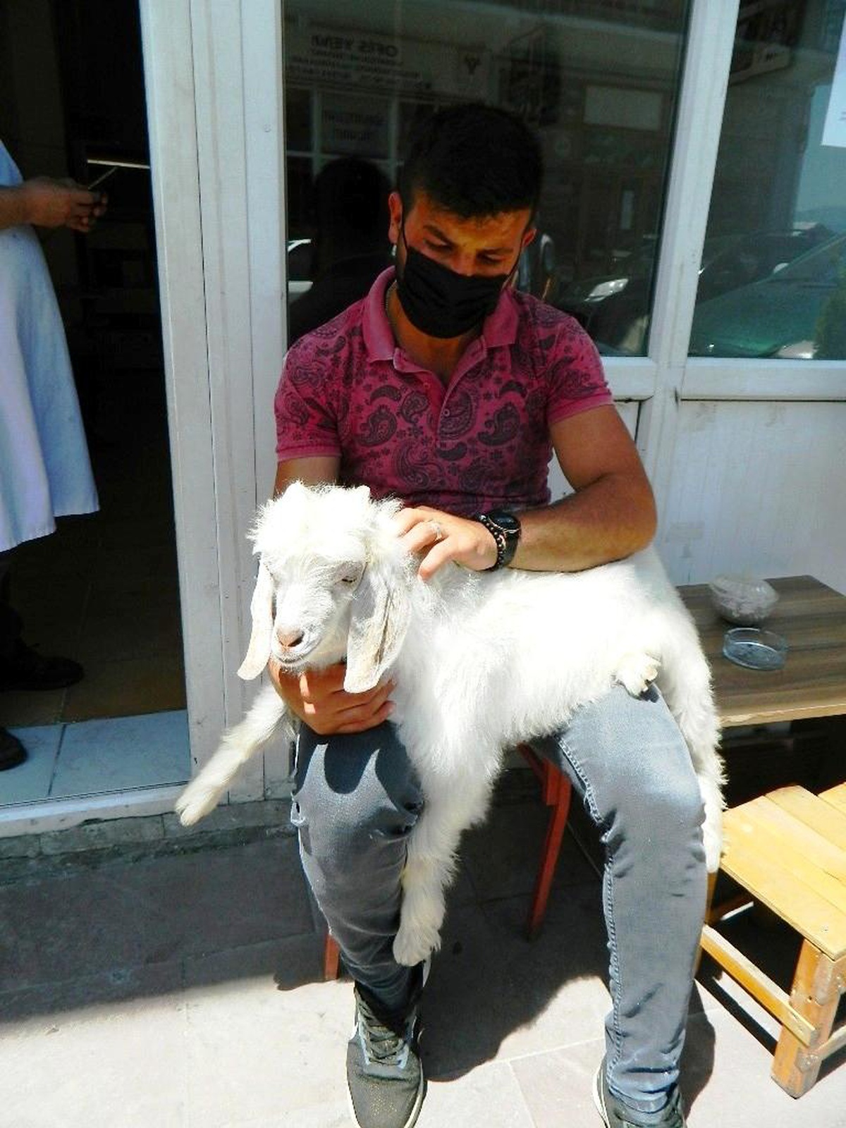 Sahibinden ayrılmayan yavru keçi görenlerin yüreğini ısıtıyor