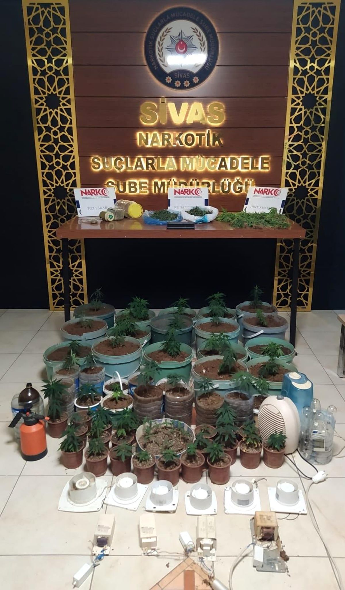 Saksıda kenevir dikkatten kaçmadı