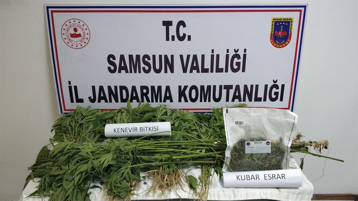 Son dakika haber | Samsun\'da uyuşturucu operasyonlarında 22 şüpheli yakalandı