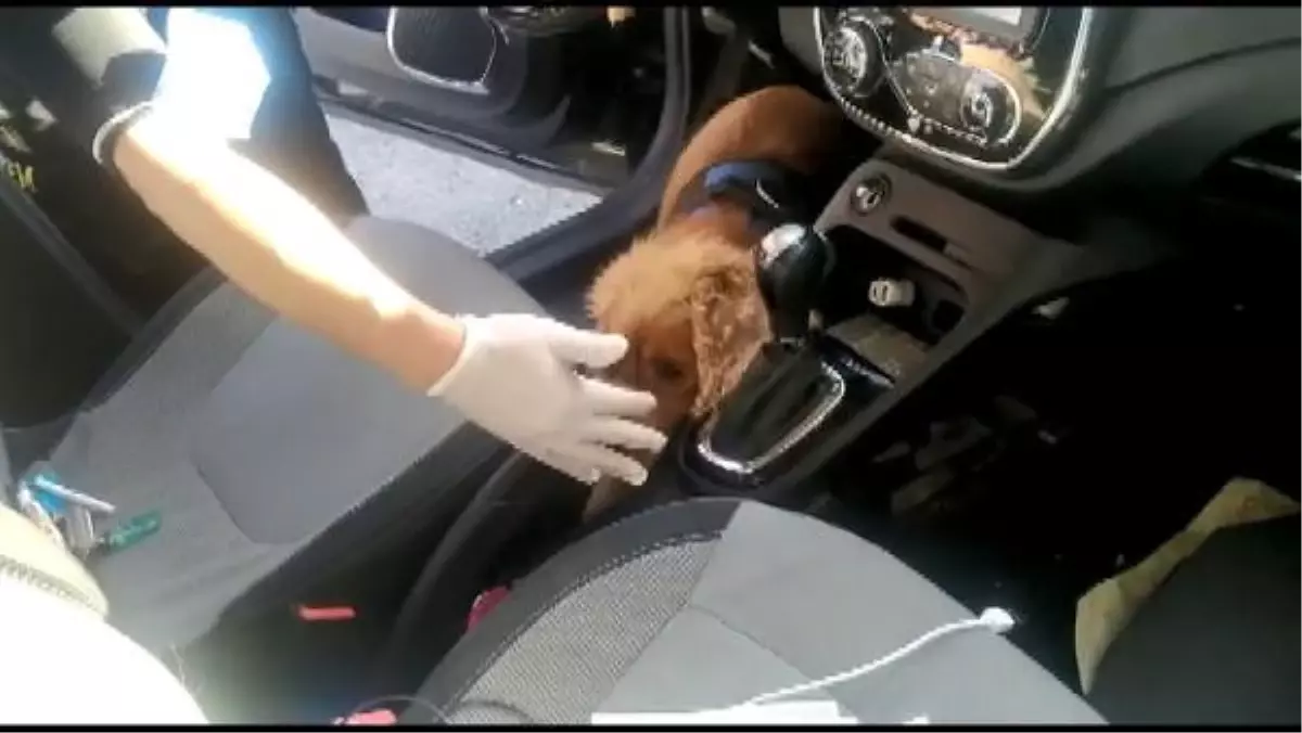 SARIYER\'DE UYUŞTURUCU OPERASYONU 2 GÖZALTI