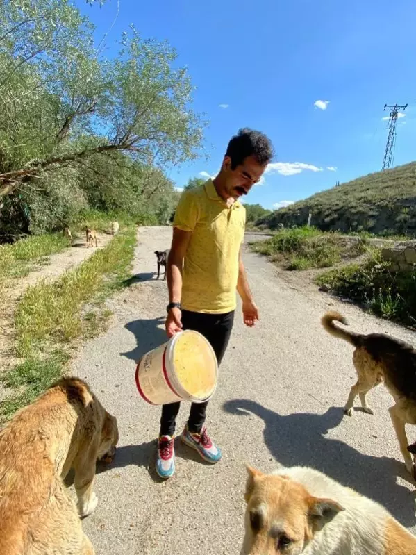 SOKAK HAYVANLARI İÇİN RESTORANLARDA ÜCRETSİZ ÇALIŞIYOR