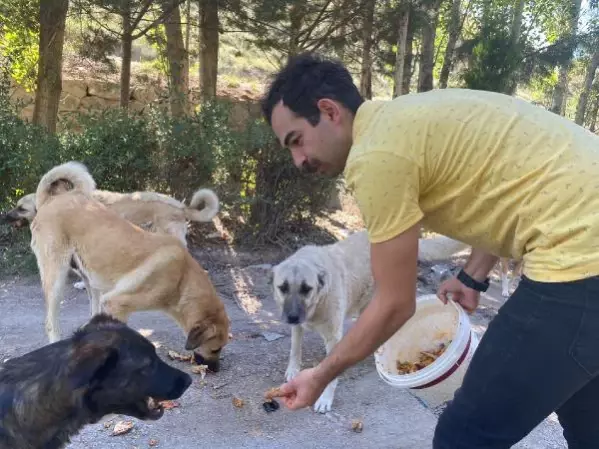 SOKAK HAYVANLARI İÇİN RESTORANLARDA ÜCRETSİZ ÇALIŞIYOR