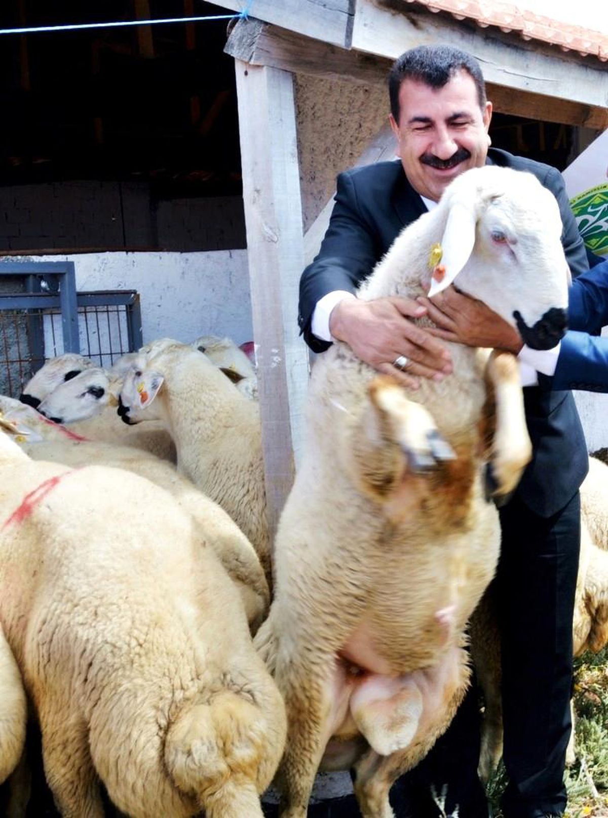 TÜDKİYEB Genel Başkanı Çelik: "Bayram için fazlasıyla kurbanlık küçükbaş hayvanımız var"