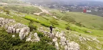 Son Dakika | 2 bin rakımlı Çambaşı Yaylası'nda görsel şölen