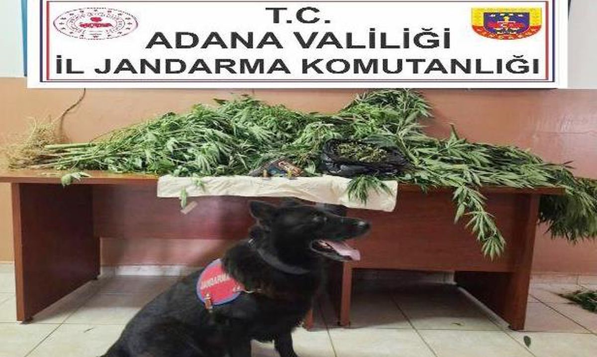 Adana\'da evinde uyuşturucu ele geçirilen zanlı gözaltına alındı