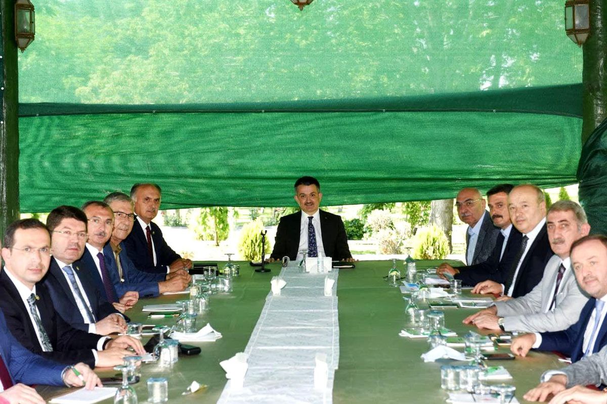 Son dakika haberi | Bakan Pakdemirli: "Hasattan önce TMO fındık alım fiyatlarının açıklanması için çalışma yapıyoruz"