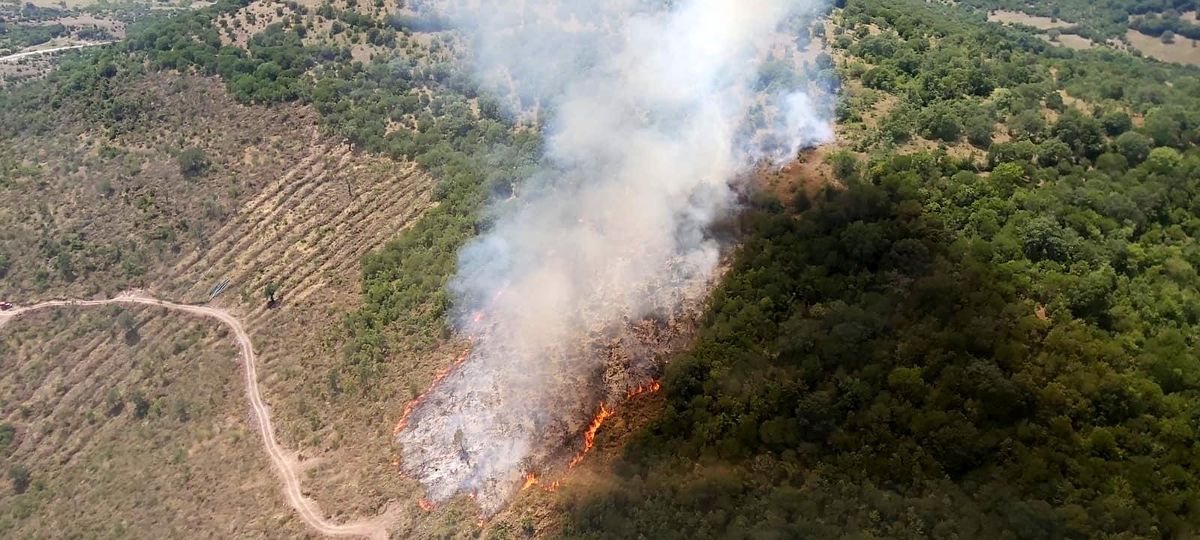 Son dakika haberi... Balya Müstecap\'da çıkan orman yangını söndürüldü