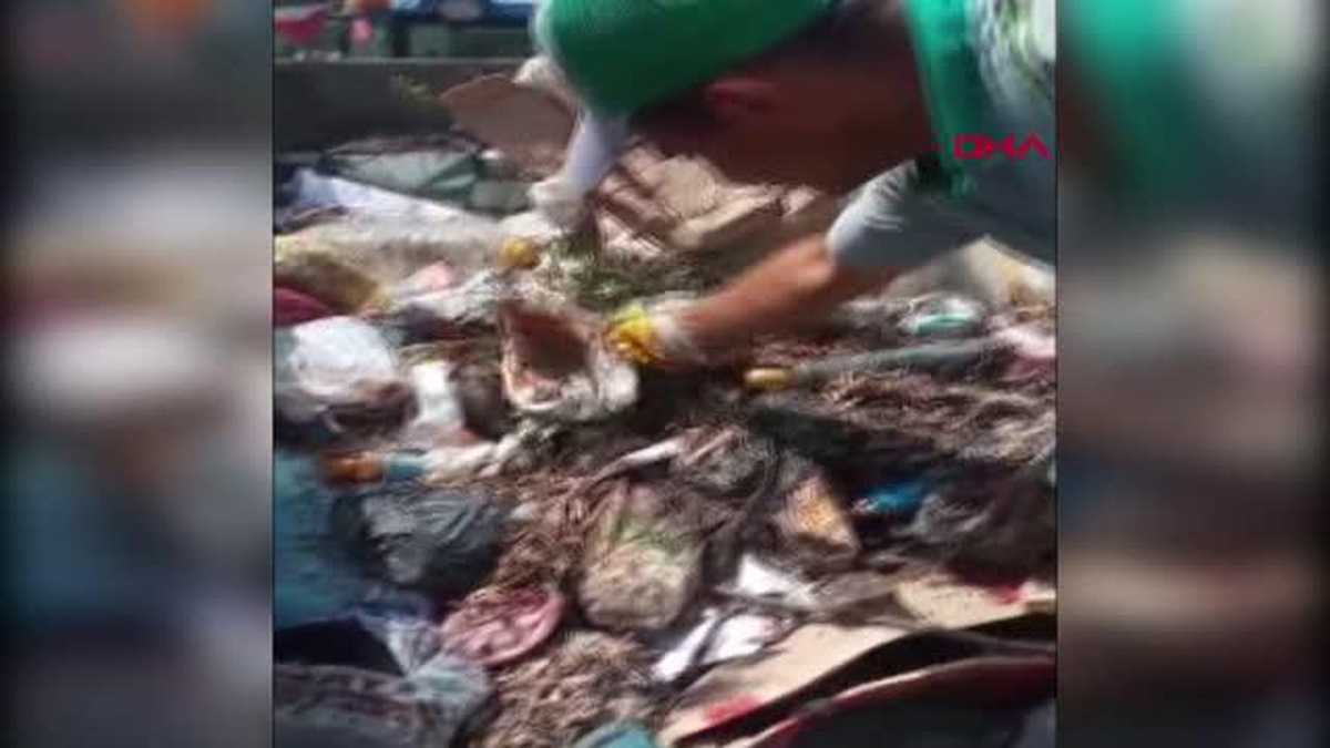 ÇÖPE ATILAN YAVRU KEDİYİ BELEDİYE TEMİZLİK İŞÇİLERİ KURTARDI