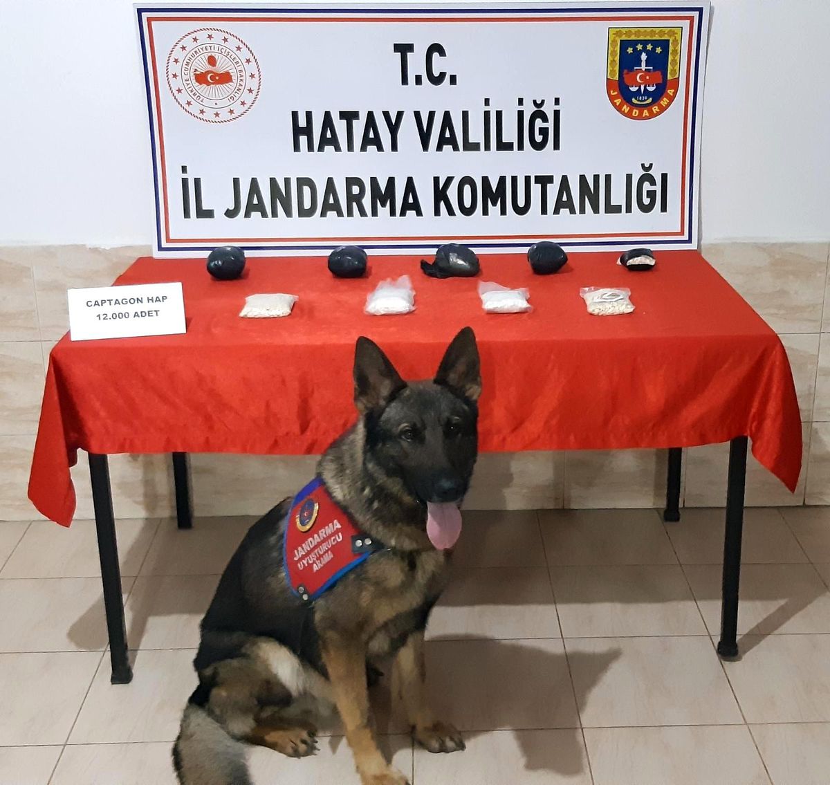 Hatay\'da 12 bin adet uyuşturucu hap ele geçirildi