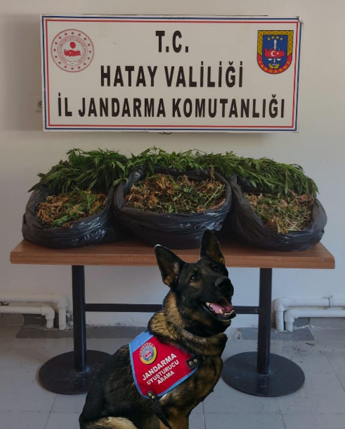 Hatay\'da 12 bin uyuşturucu hap ve Hint keneviri ele geçirildi