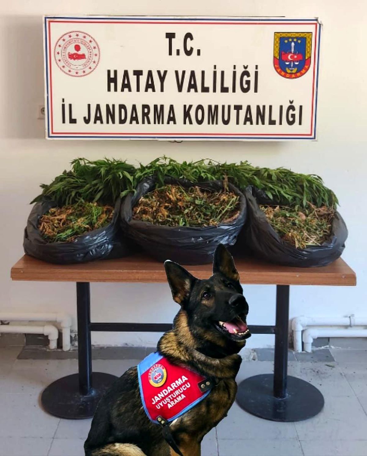 Hatay\'da uyuşturucu operasyonu