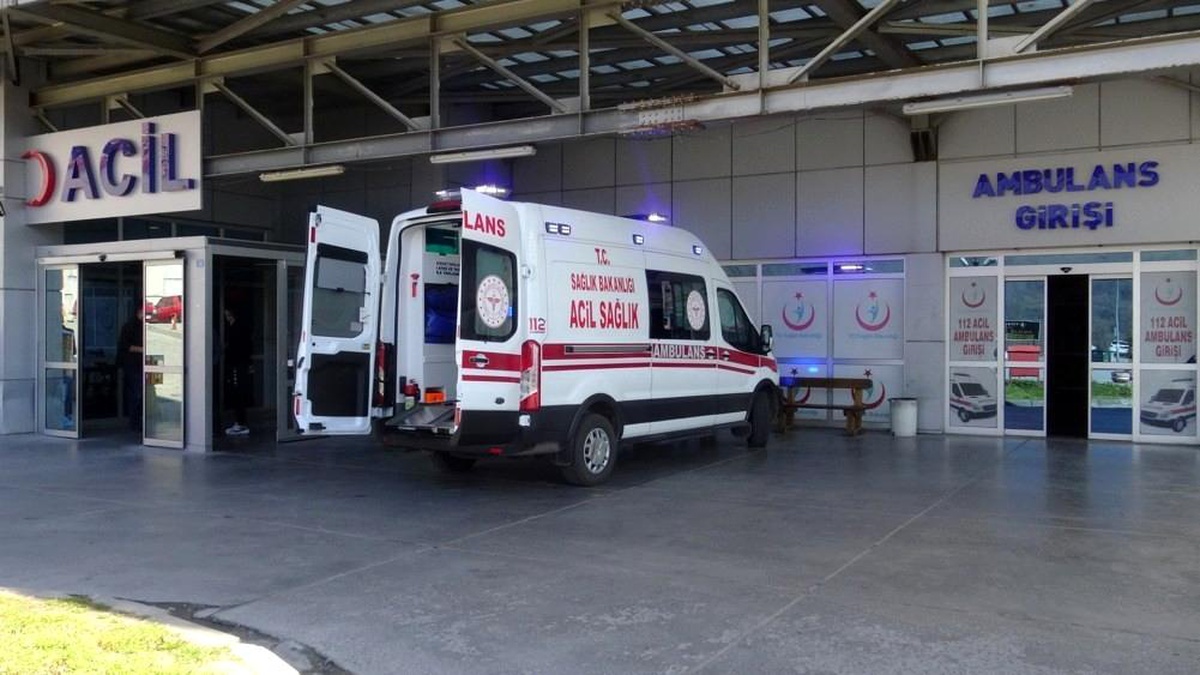 Ihlamur ağacından düşen yaşlı kadın ağır yaralandı