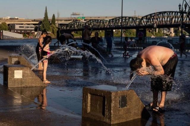Kanada'da sıcaklık 50 dereceye kadar çıkarak rekor kırdı! Son 5 günde 486 kişi hayatını kaybetti