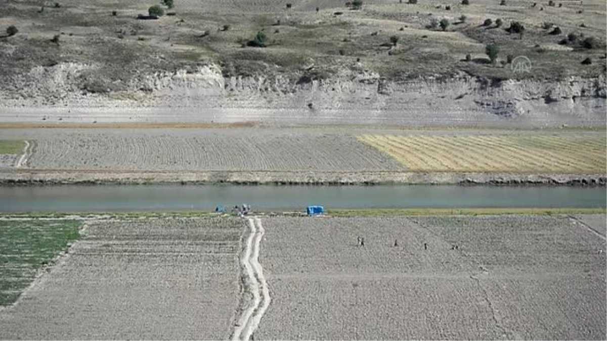 Mevsimlik işçiler aşıya gidemeyince sağlık ekipleri tarlaya indi