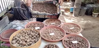 Salep dede, ömrünü salebe adadı