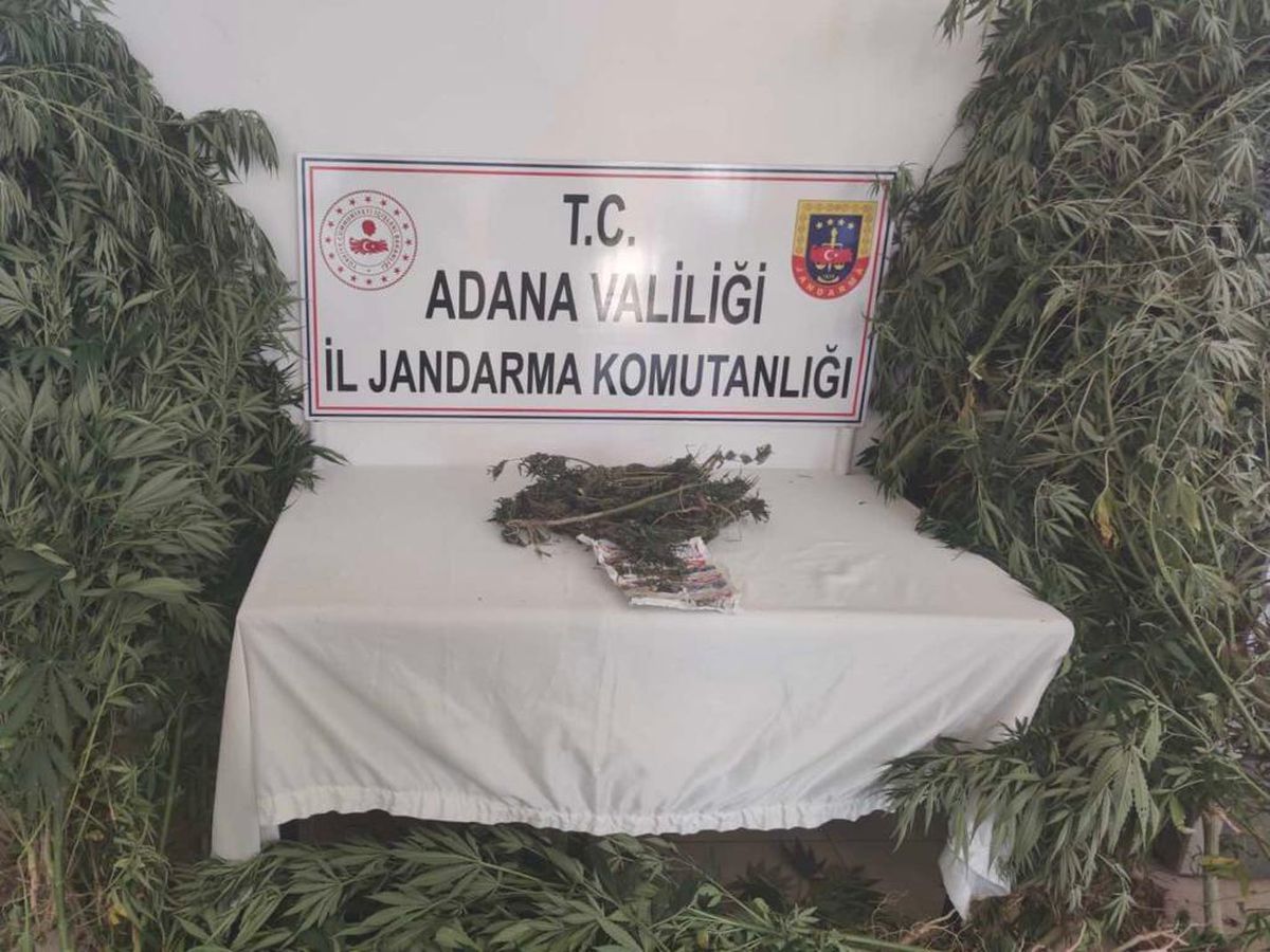 Son dakika haberleri | Adana\'da evinde esrar ve kenevir ele geçirilen şüpheli gözaltına alındı