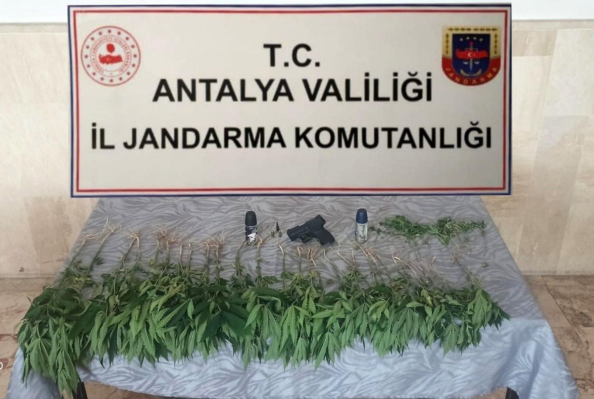Son dakika 3. sayfa: Bahçesinde kenevir eken şahıs, düzenlenen operasyonla gözaltına alındı
