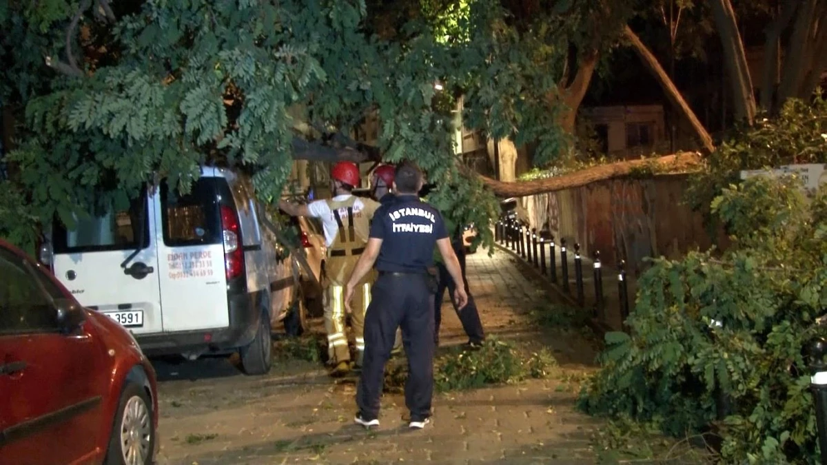 Beşiktaş\'ta hafif ticari aracın üstüne ağaç devrildi