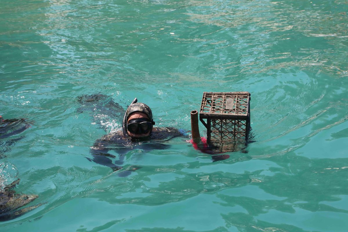 Bodrum\'da dalgıçlar deniz dibi temizliğinde 344 kilogram atık çıkardı