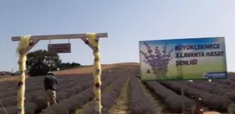 Büyükçekmece'de Lavanta Hasat Şenliği yapıldı