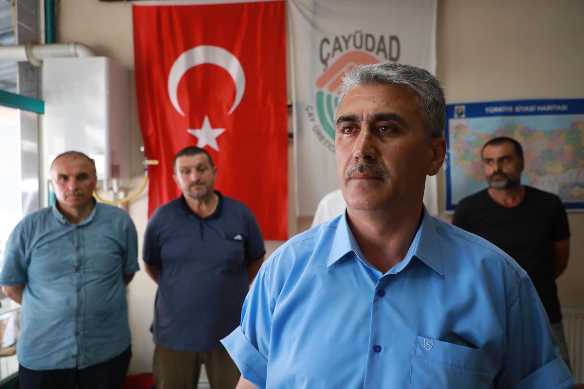 Çay üreticisi ikinci sürgünde dekara 700 kilo kota bekliyor