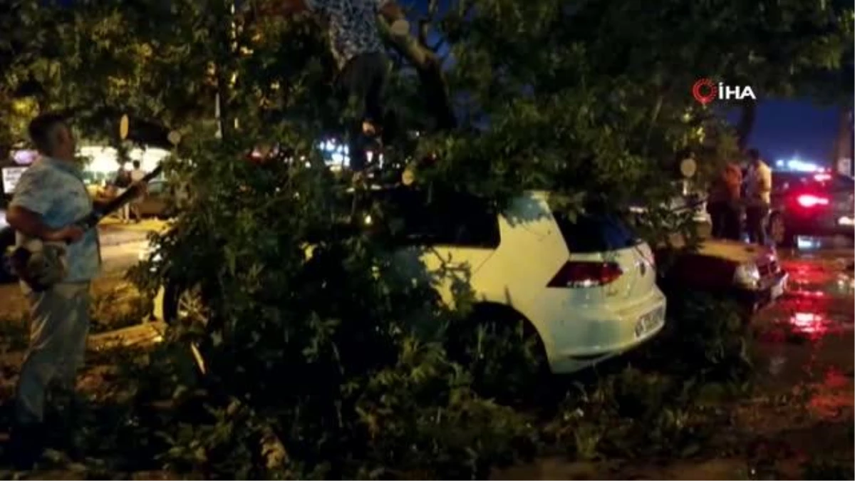 Edirne\'de fırtına nedeniyle ağaçlar arabaların üstüne devrildi, çok sayıda araç hasar gördü