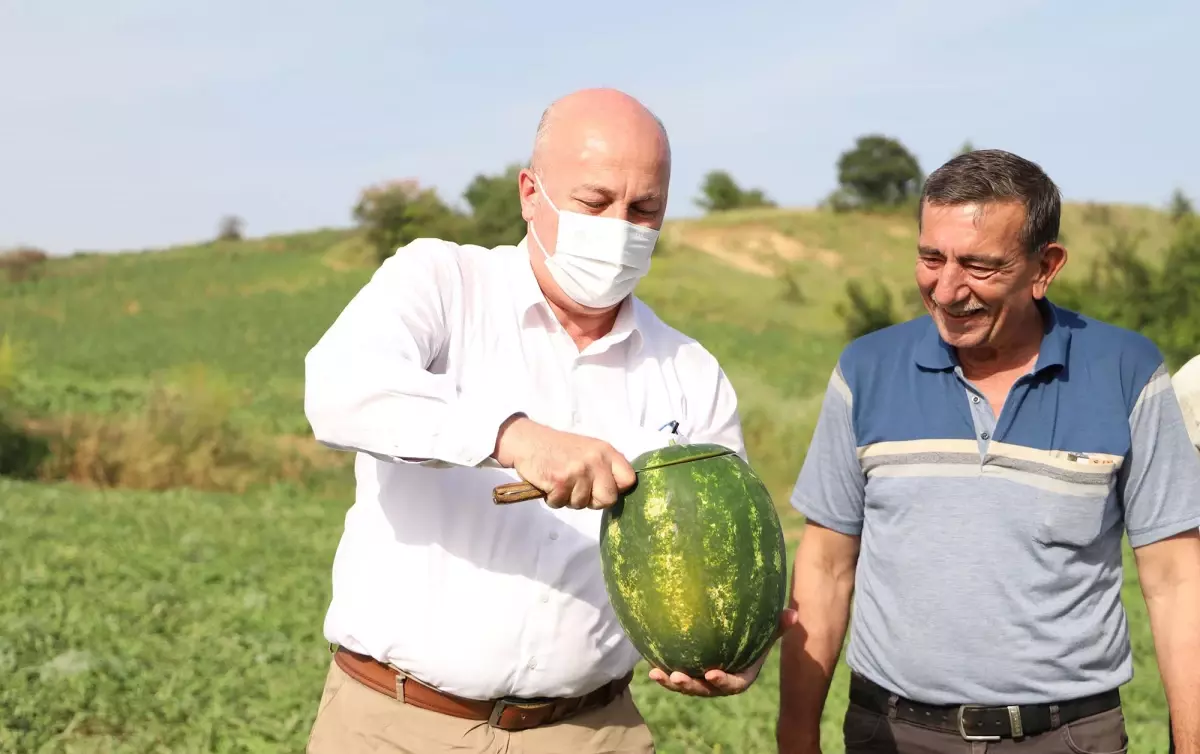 Hayrabolu Belediye Başkanı İnan karpuz hasadına katıldı