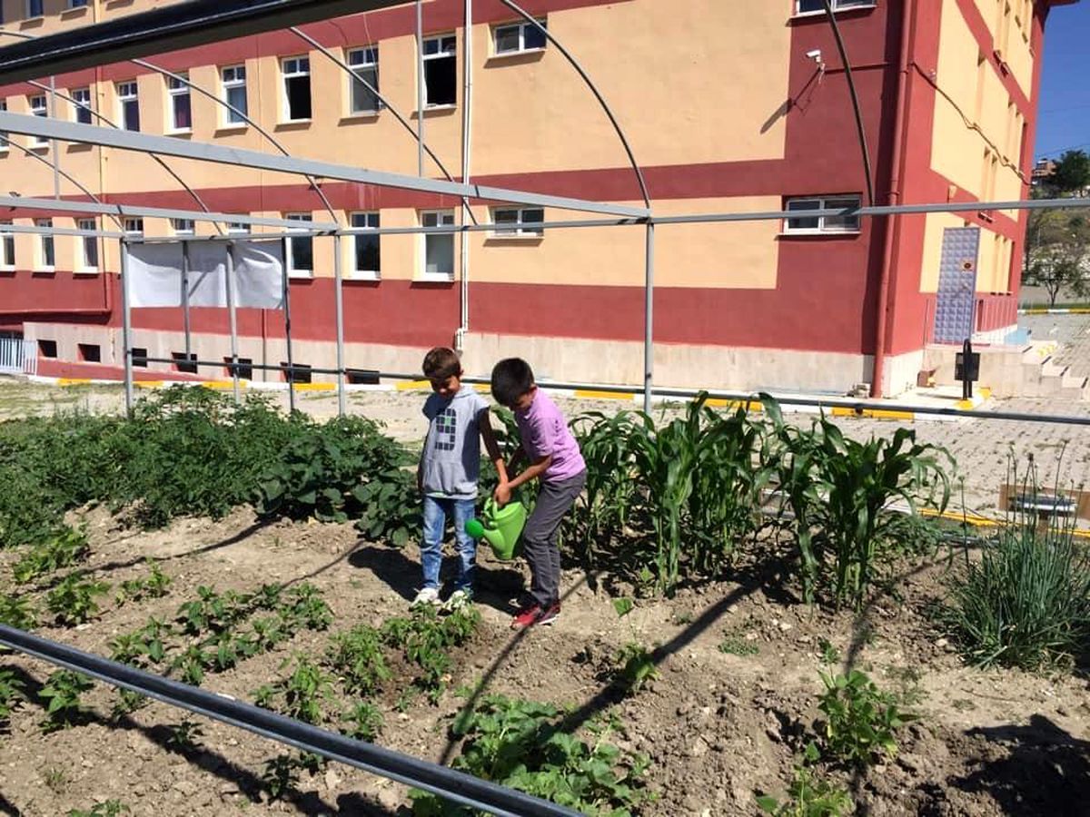 İlkokulda "Tabiat atölyesi"
