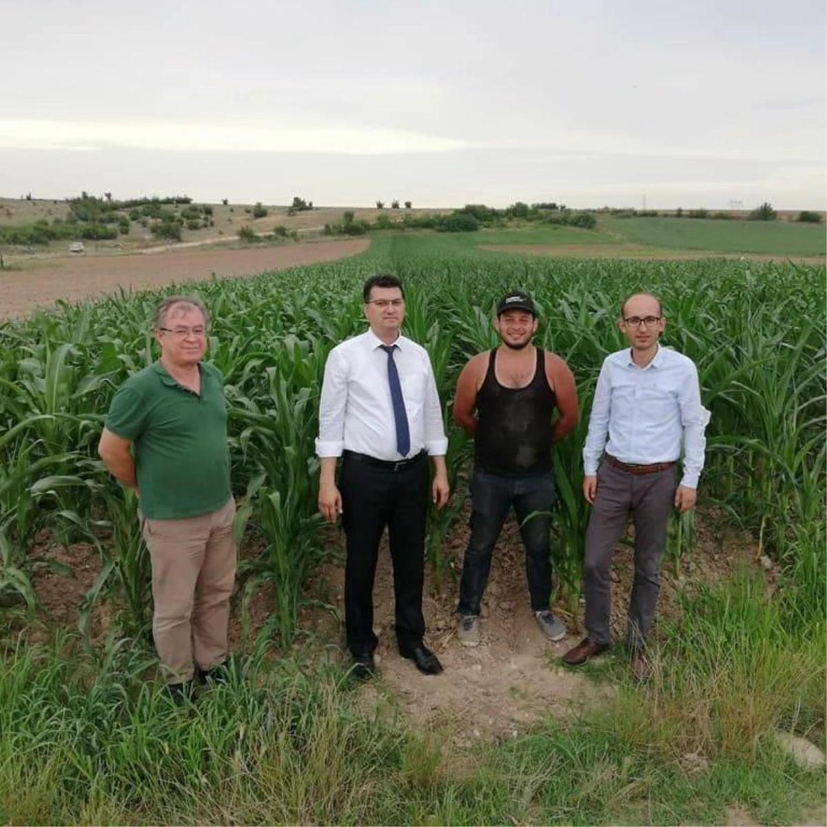 Kırklareli\'nde yerli mısır çeşitlerinin verimliliği test edilecek