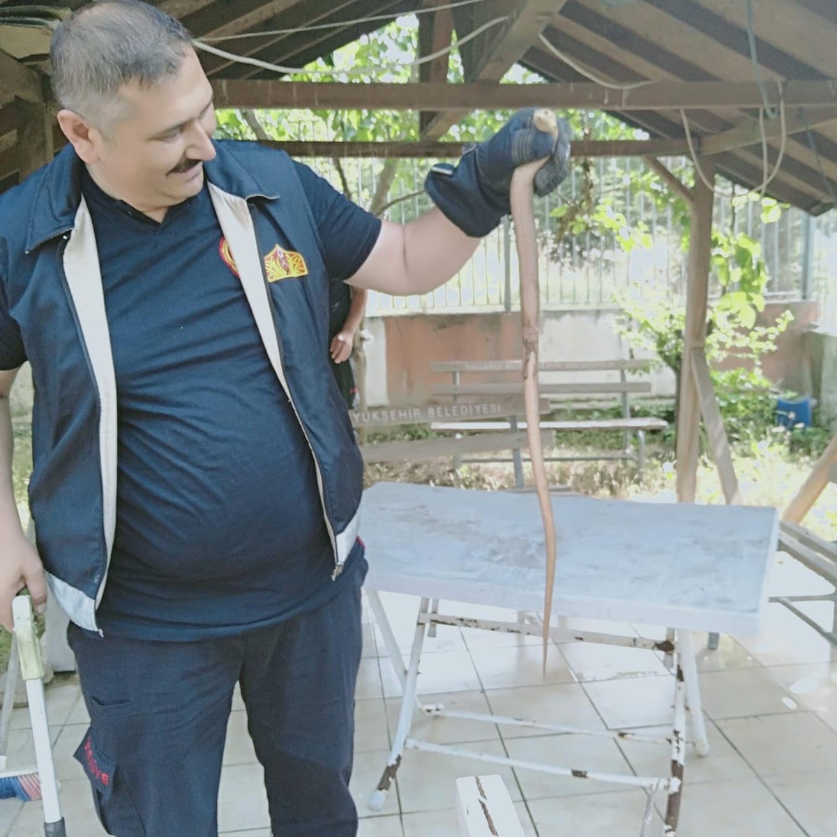 Kocaeli\'de kümese giren yılanı itfaiye ekipleri yakaladı