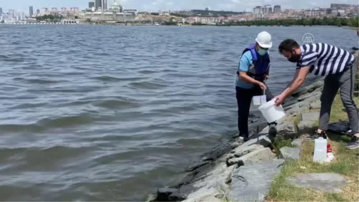 Son dakika haberi: Küçükçekmece\'deki balık ölümleri - Ekipler sudan numune aldı