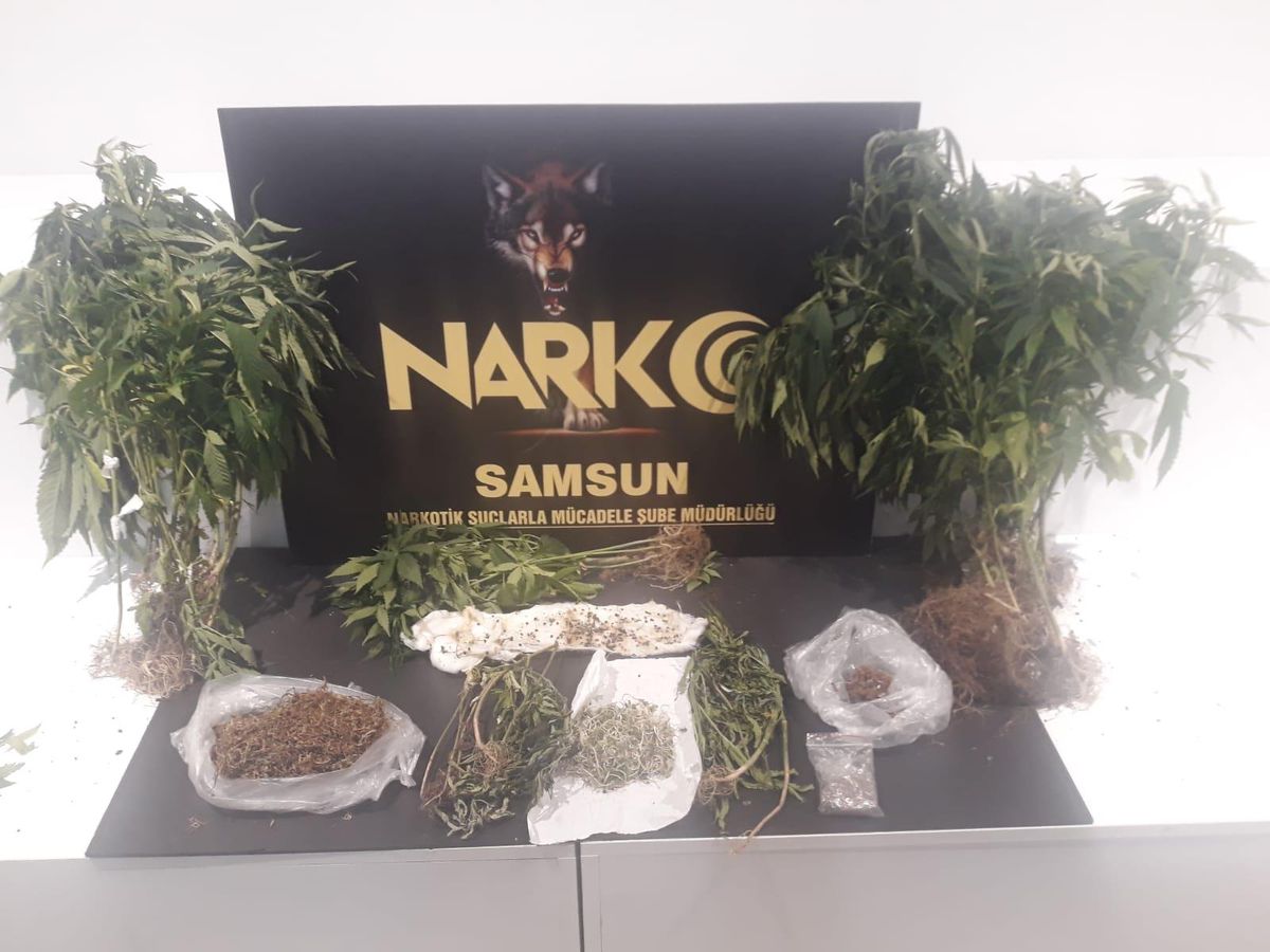 Son dakika haber | Samsun\'da düzenlenen uyuşturucu operasyonlarında yakalanan 3 zanlıya adli kontrol