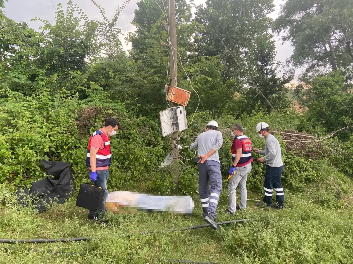 Samsun\'da elektrik akımına kapılan kişi hayatını kaybetti