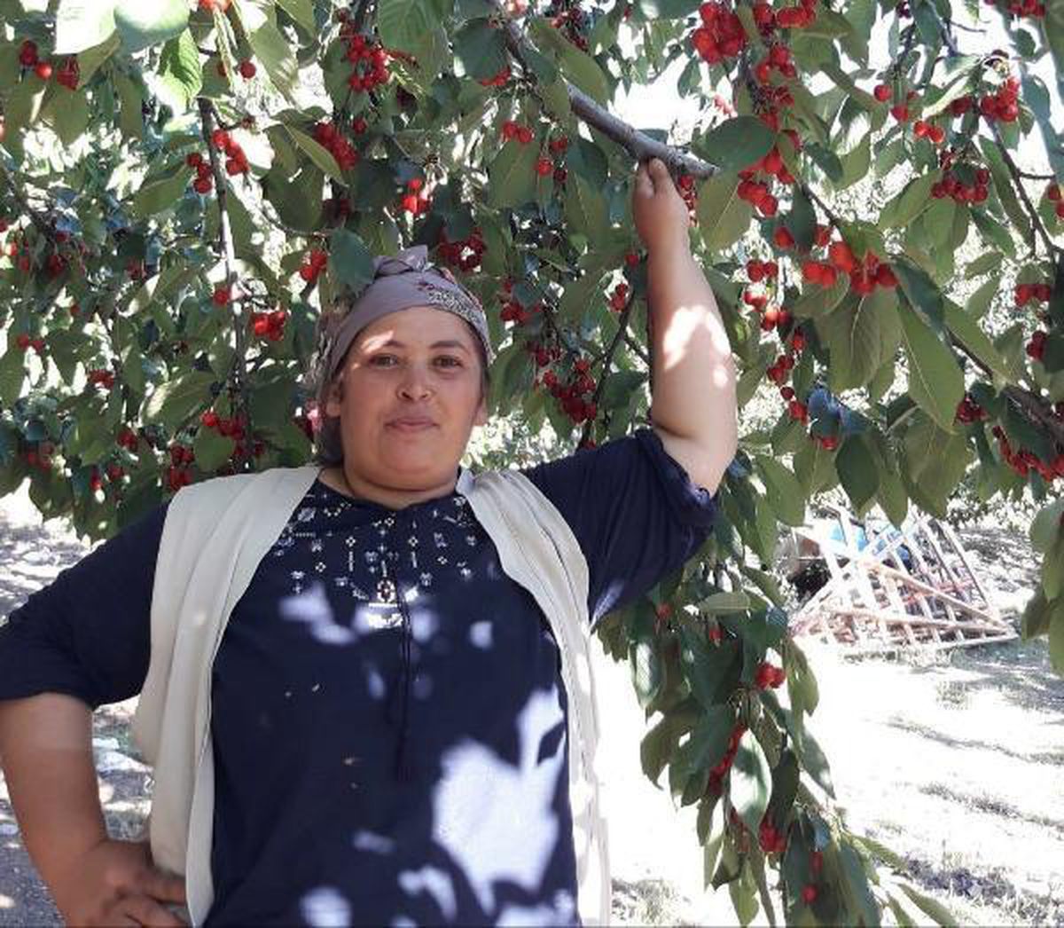 Son dakika haberi... Tarım işçilerini taşıyan midibüs devrildi: 1 ölü, 14 yaralı (2)