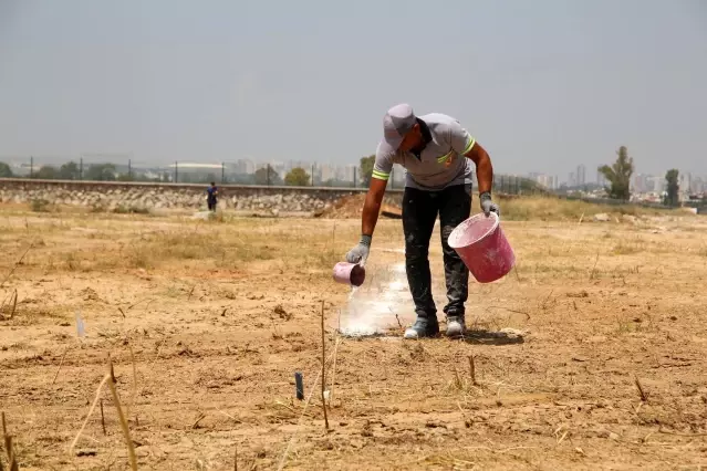 Yüreğir'de kurban satış noktaları belirlendi