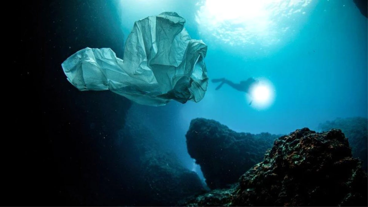 3 Temmuz Dünya Plastik Poşet Kullanmama Günü: Plastik poşetler hakkında bilmeniz gerekenler