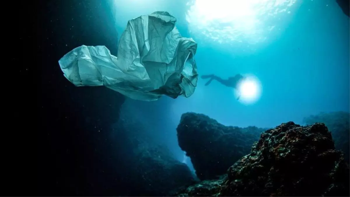 3 Temmuz Dünya Plastik Poşet Kullanmama Günü: Plastik poşetler hakkında bilmeniz gerekenler